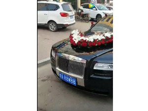 近期案例视频