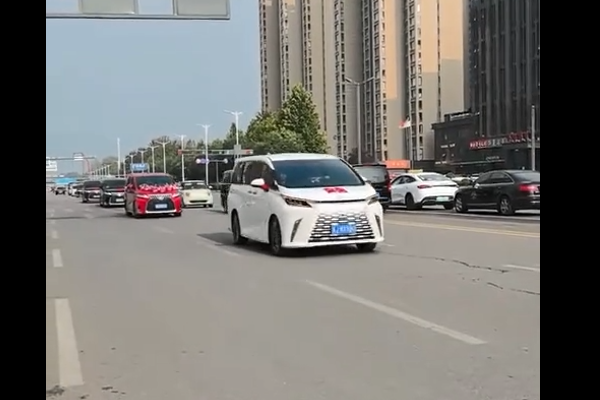 近期案例视频